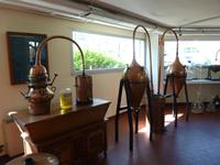 in der Parfumerie Galimard