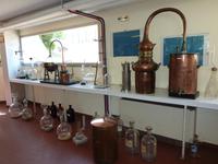 in der Parfumerie Galimard