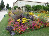 der botanische Garten auf dem Cimiez-Hügel