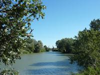 die Vincent van Gogh-Brücke 