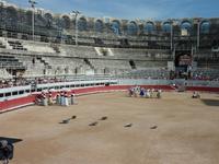 bei den Course Camarguaises