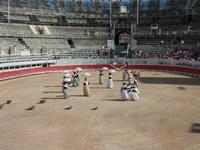 bei den Course Camarguaises