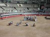 bei den Course Camarguaises