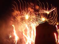 Nationalfeiertag 14. Juli 2010