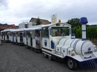 Zugfahrt durch die Weinberge von Dambach-la-Ville