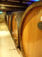 Weinkeller in Dambach-la-Ville