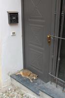 San Remo - Mittagspäuschen