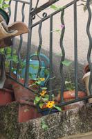 Moustiers-Sainte-Marie