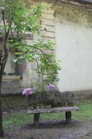 Château de Breuil - Calvadosbrennerei