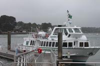 Fähre Golf von Morbihan