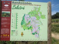 Auf den Spuren des Weines