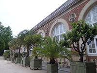 Jardin des Tuileries