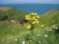 Landungsstrände Arromanches