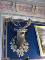 In Schloss Chantilly