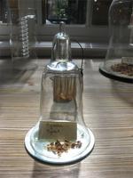 Palais Bénédictine, Fécamp