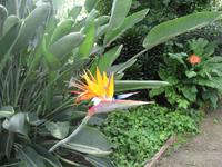 Gewächshaus Le Havre