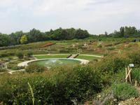 Blick auf den Rosengarten in Caen