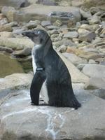 Zoologischer Landschaftsgarten Champrépus