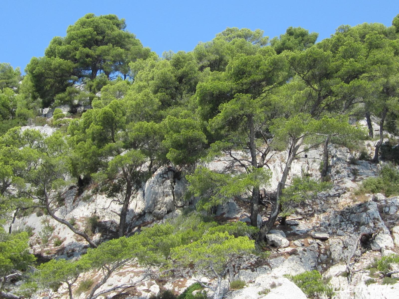 Steilküste der Calanques
