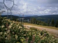 Fotostop während der Vogesenrundfahrt am Sessellift
