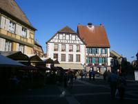 Sichtbare Reste des Elsässer Wappentiers