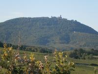 Blick vom Soldatenfriedhof zur Hochkönigsburg