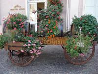 Beaujeu Blumenschmuck