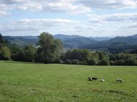 Beaujolais Landschaft