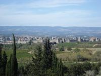 Blick auf Carcassonne