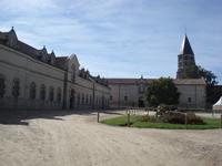 Cluny Harras Gestuet