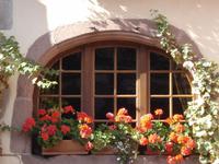 Dambach la Ville Blumenschmuck am Fenster