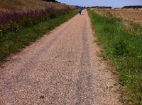 Radweg bei Sully-s-Loire