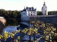 Chenonceau vom Garten aus