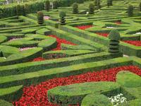 Garten von Schloss Villandry