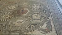 Römische Mosaiken in Vaison-la-Romaine