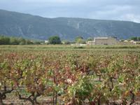 Châteauneuf-du-Pape