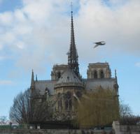 Die Kathedrale Notre-Dame