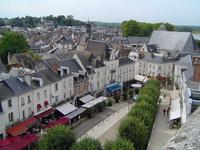 Blick vom Schloss Amboise