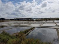 53_Terre de Sel