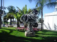 die Filmrolle in Cannes 