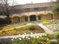 im Garten Espace van Gogh in Arles 