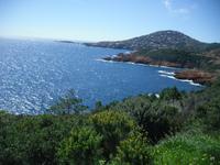 an der Esterelküste