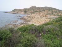 An Korsikas Westküste