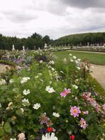 Versaill ein Blumenmeer
