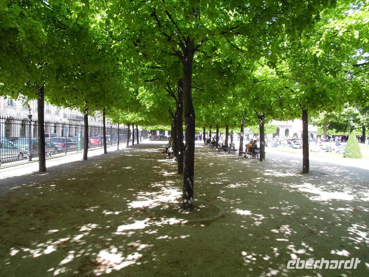 Wie bei Renoir. Licht und Schatten auf dem Place de Vosges