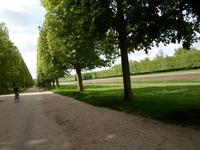 in Versailles