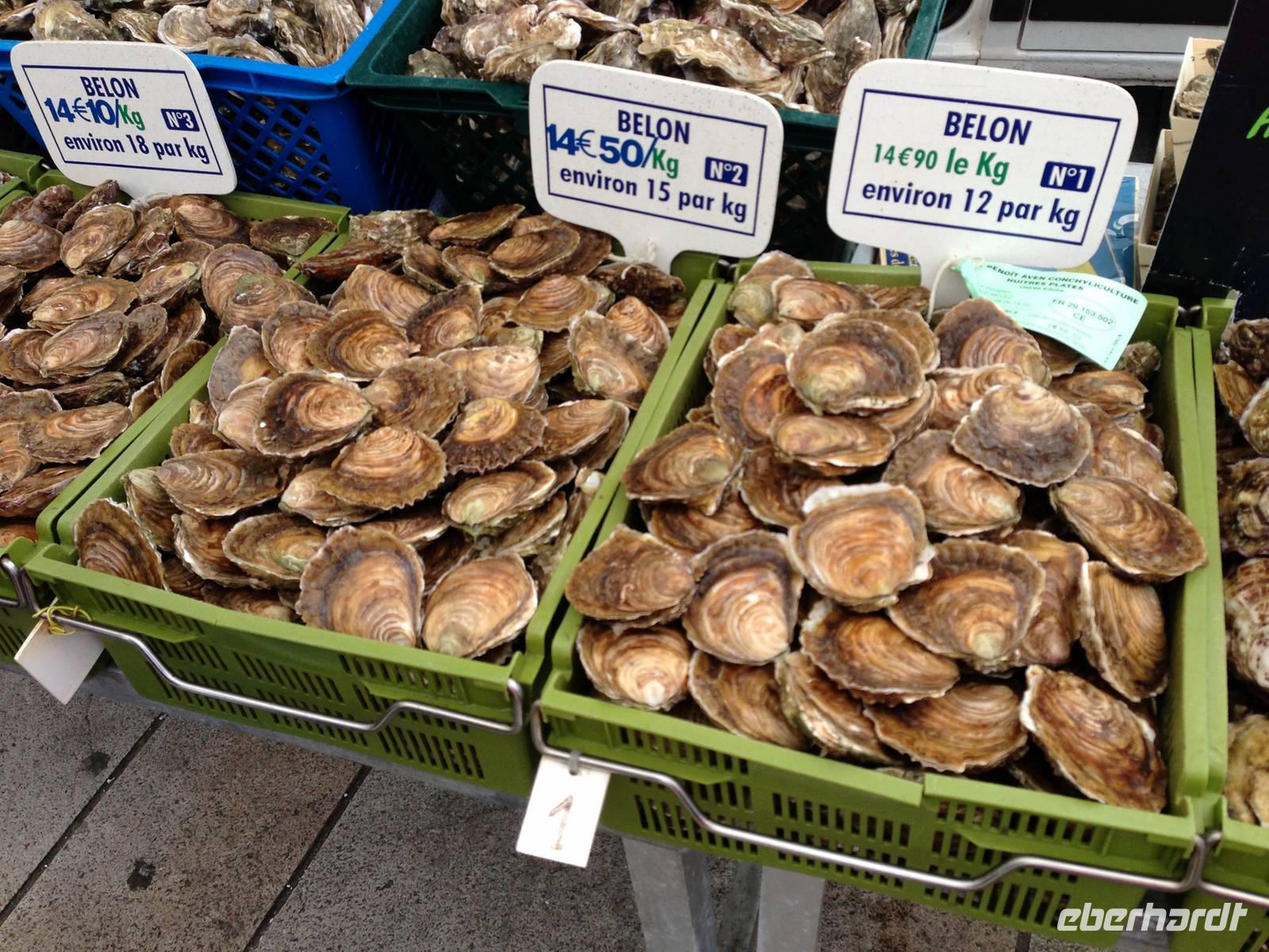 13-05-10_Markt Concarneau