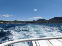 heraus aus dem Hafen und ...