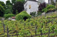 Rundgang im Montmartre-Viertel