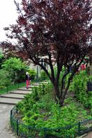 Rundgang im Montmartre-Viertel